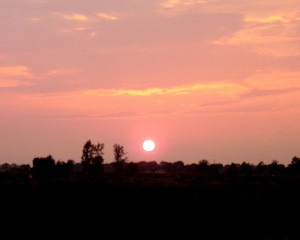 Sun Aura