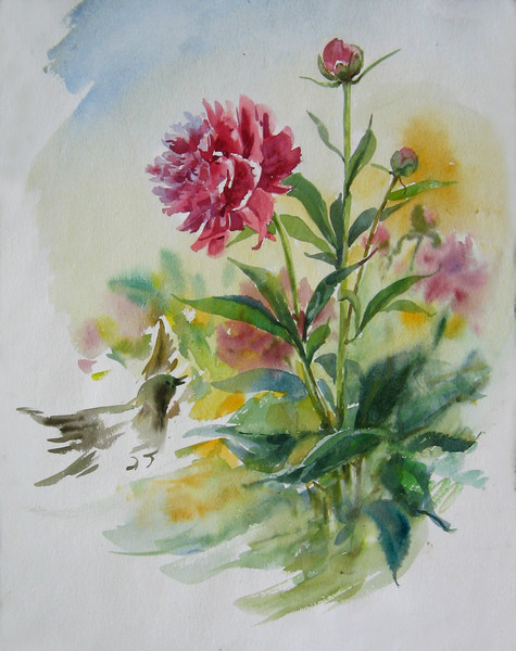 Peonies