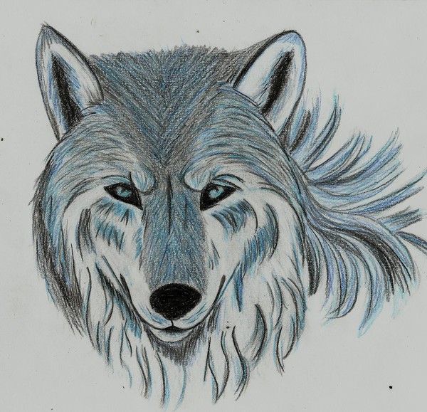 christmas wolf