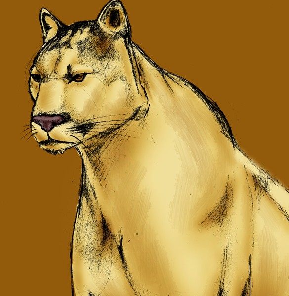 lion