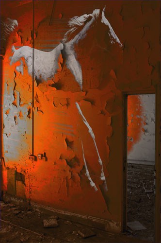 Color Equilibrium #6
