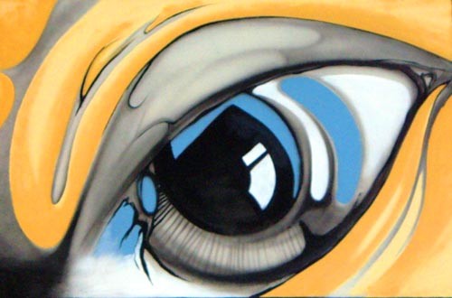 Eye