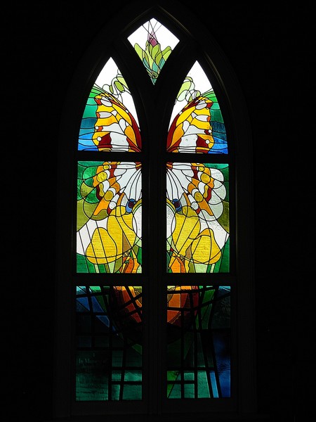 Light Of Salvation