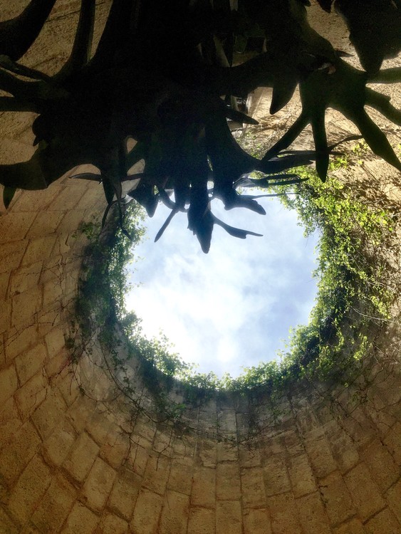 Silo to the sky