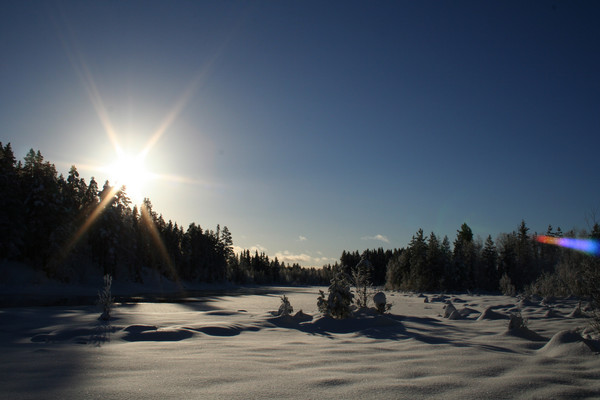 Swedish Winterwonderland I