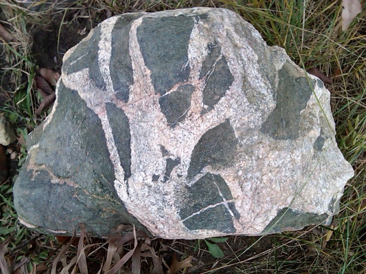 IMG01376-20101121-1338