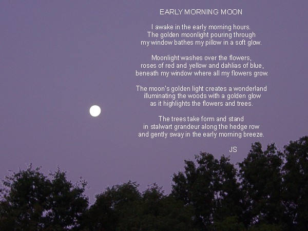 Early Morning Moon
