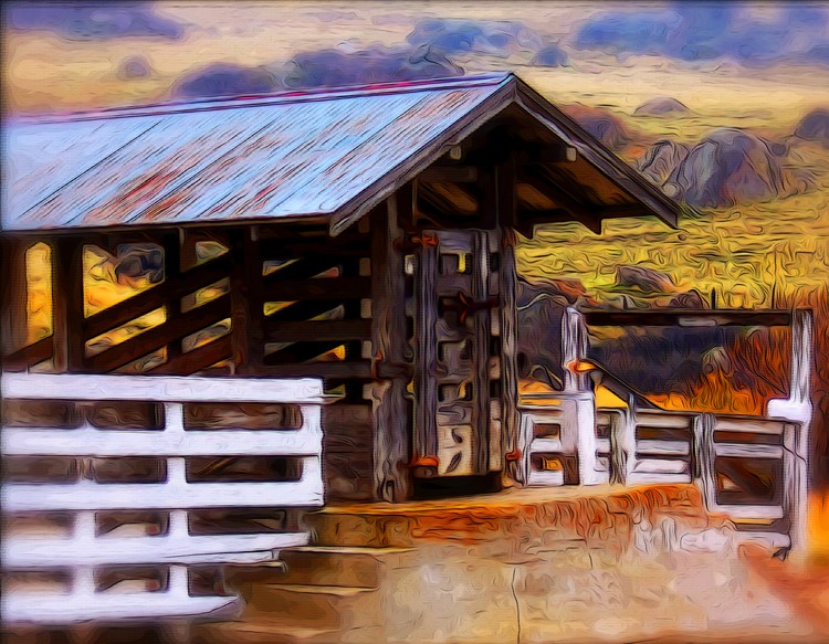 Peace of the High Desert