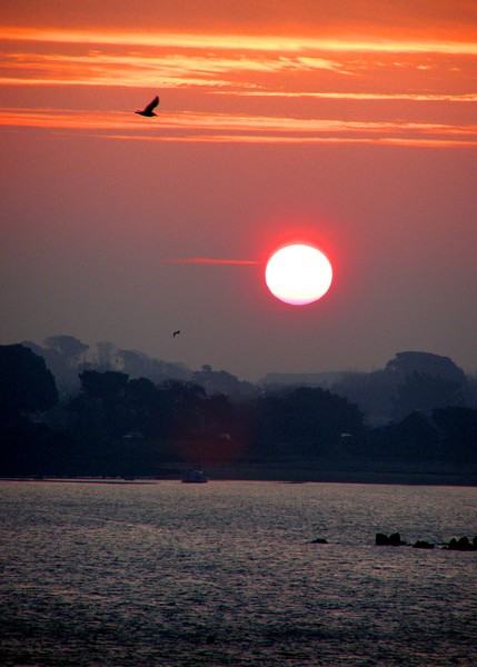 SUNRISE IN GUERNSEY