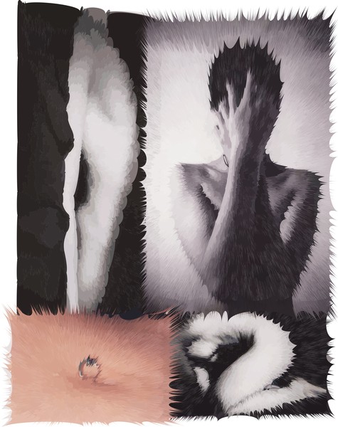 Nude Abstract