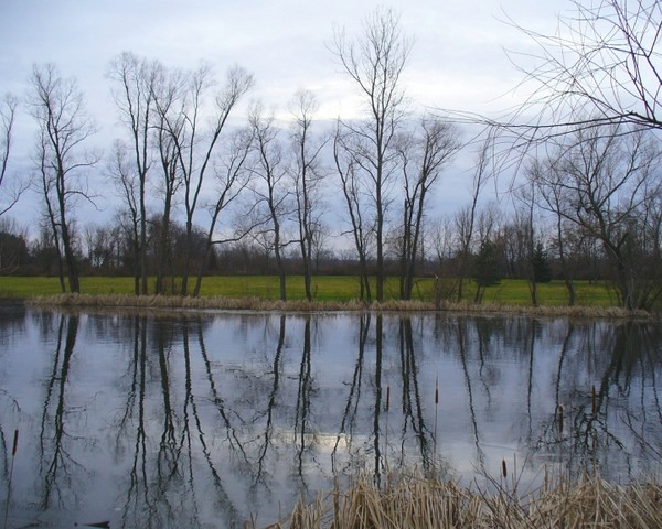 Gentle Reflections