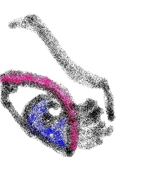 eyes