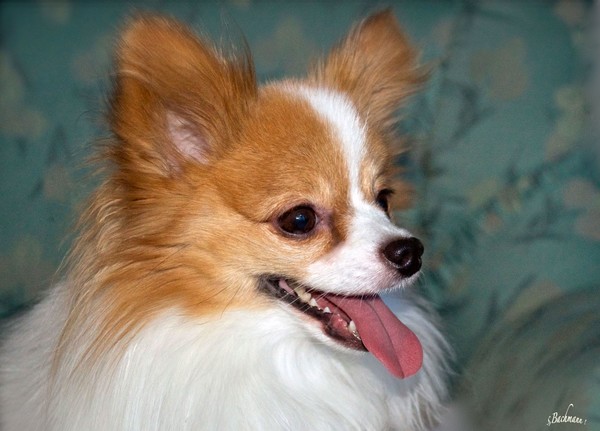 Oliver always fresh and joyful !