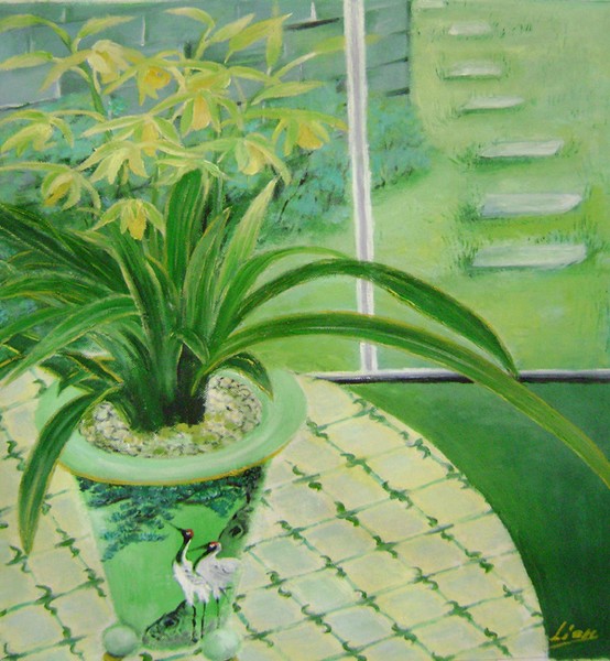 Yellow orchids