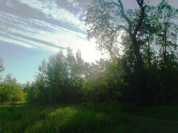 Sun going down