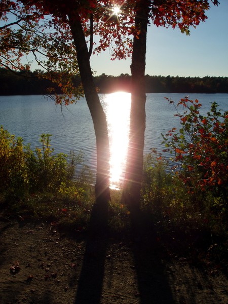 fall day 1