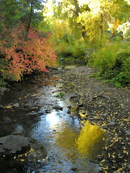 riches of color(taos canyon)