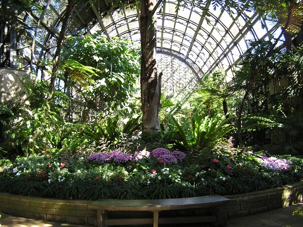Balboa park geenhouse