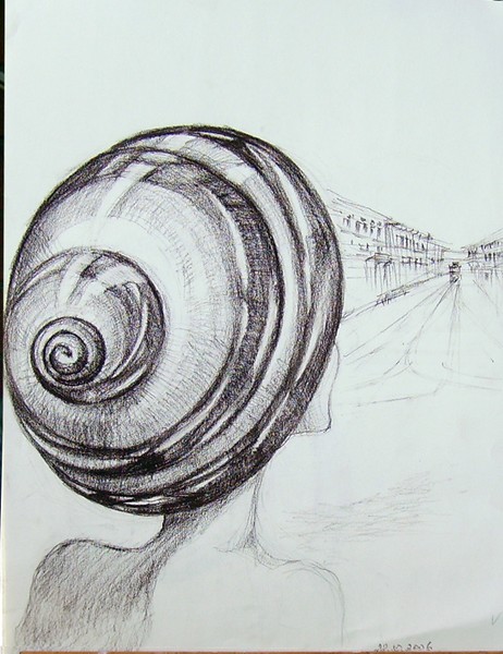 The Shell that looks at Turin
