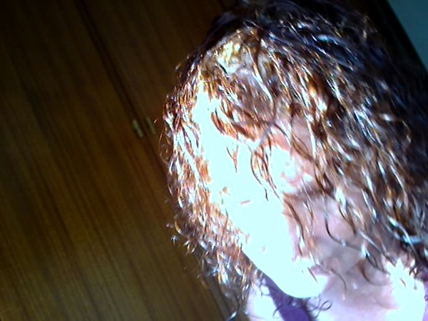 the ghost ...