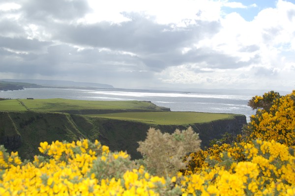 Giants causeway