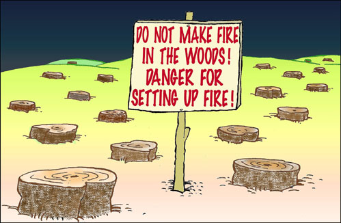 Fire in the woods