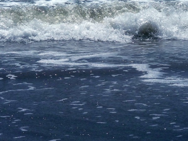 From The Deep Blue Sea