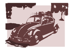 Oval Beetle (i think)