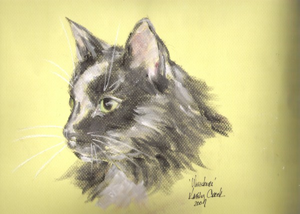 Whiskers