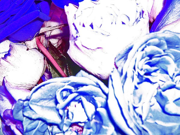 BLUE FLOWERS I