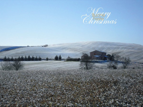 A winter landscape