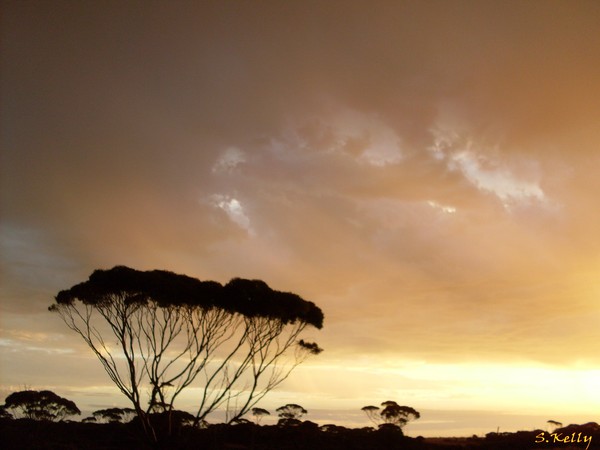 Sunset on the Nullabor