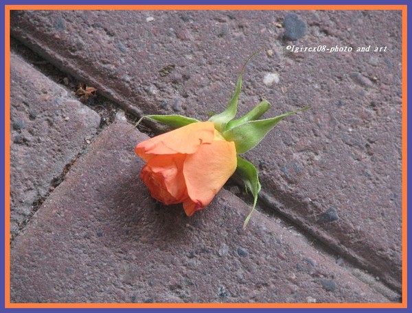 Septemberbliss2008-
