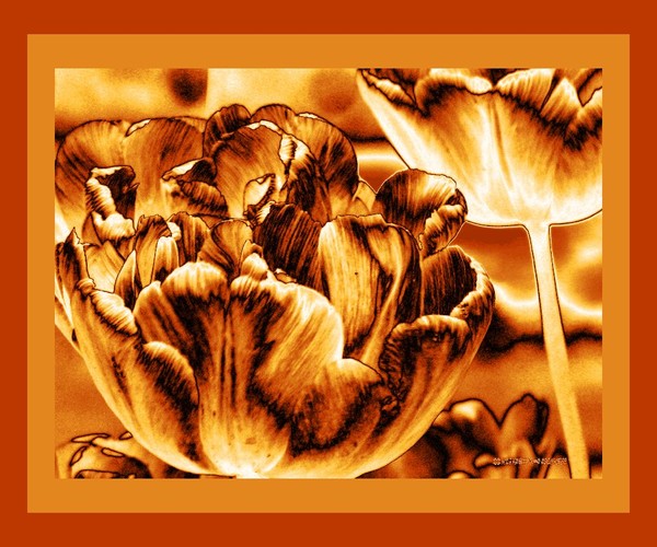 Golden touch...