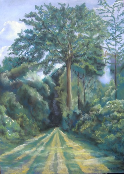 forest