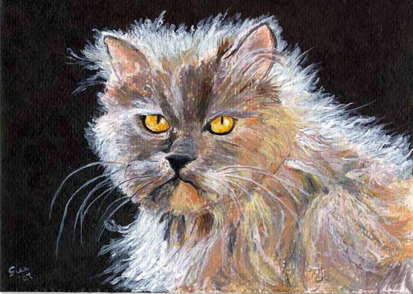 Saffy