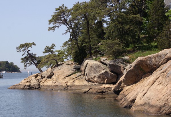 Rocks and trees in Thimble Islands