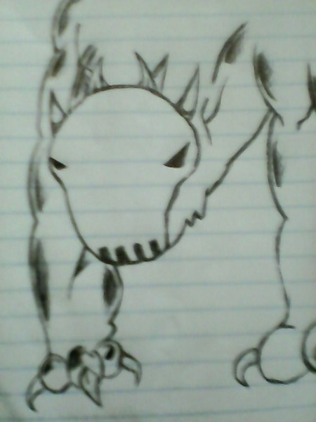 my dog