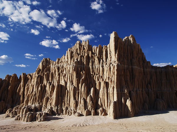 Desert Landscape