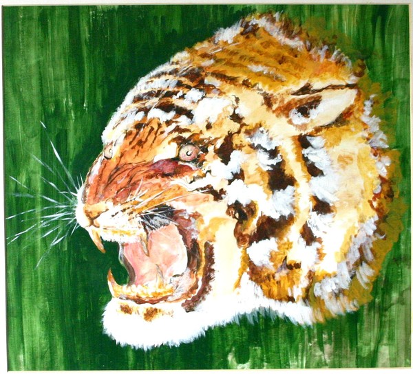 Bengal Tiger