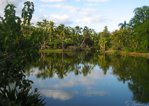 Lagoon Reflection