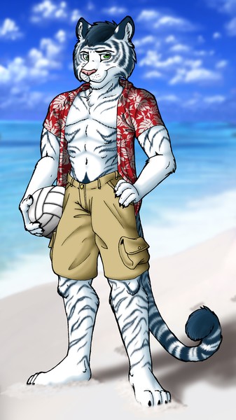 RyanR Commission