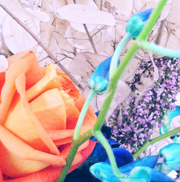 Flowers 33111