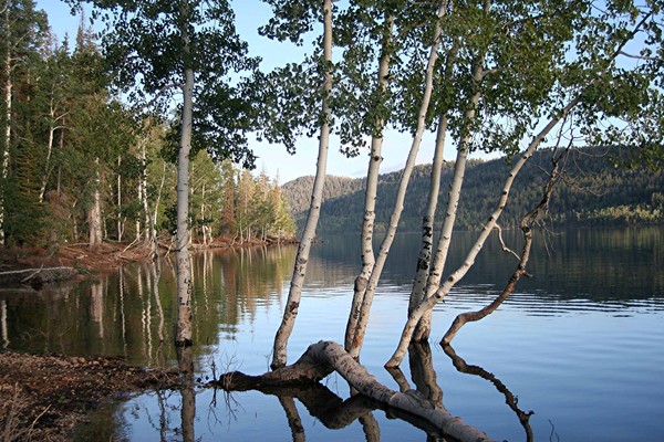 MOUNTAIN LAKE