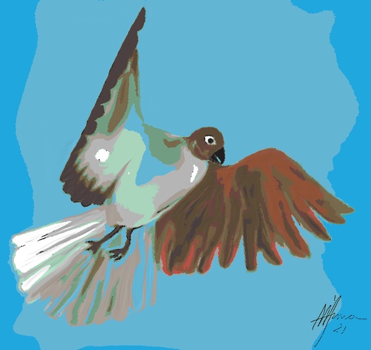 EAGLE
