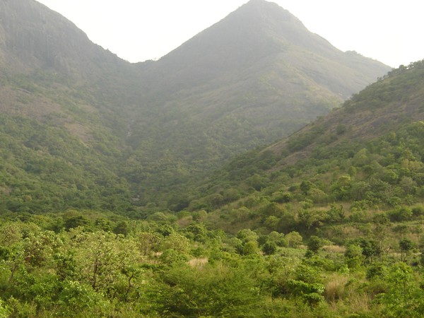 Mountain