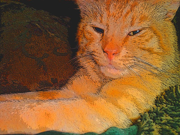 Butterscotch Secure