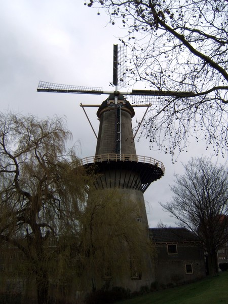 Windmill, Schiedam