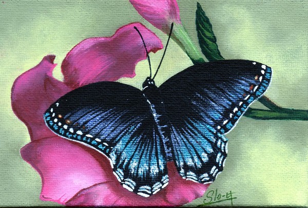 Fragile Wings #3