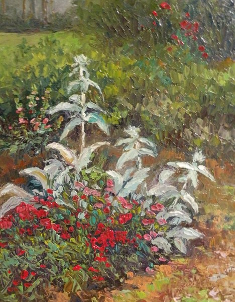 Lamb's ear